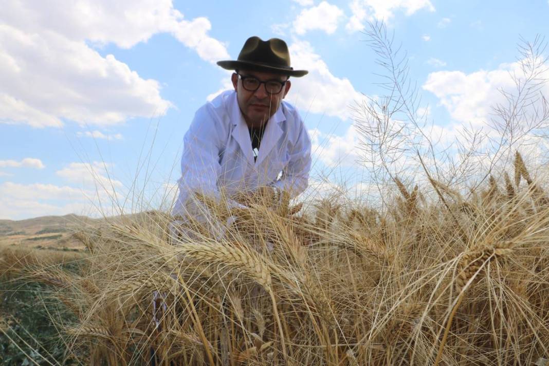 Dünyanın gözü Türkiye'deki bu tarlada! Adım adım yaklaşan felakete çözüm olabilir 1